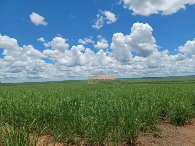 Fazenda venda em Região Imediata de Adamantina-Lucélia, Pacaembu
