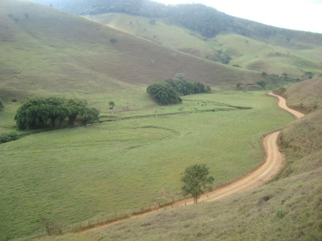 Fazenda venda em Região Geográfica Imediata de João Monlevade, São domingos do Prata