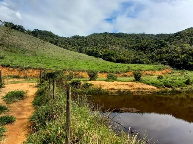 Fazenda venda em Região Geográfica Imediata de João Monlevade, São domingos do Prata