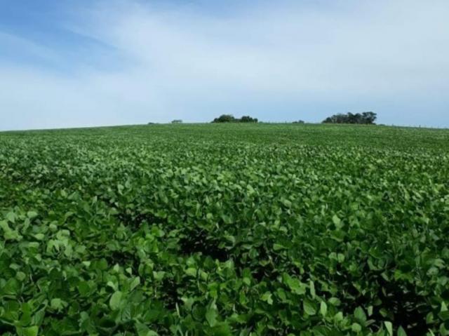 Fazenda venda em Região Geográfica Imediata de Santa Maria, São Sepe