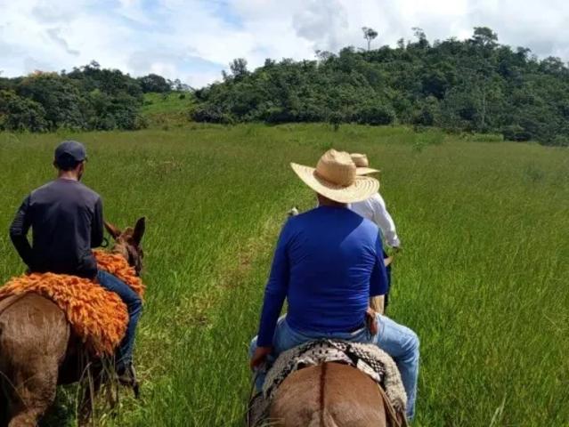 Fazenda venda em Região Geográfica Imediata de Ceres - Rialma - Goianésia, Rubiataba