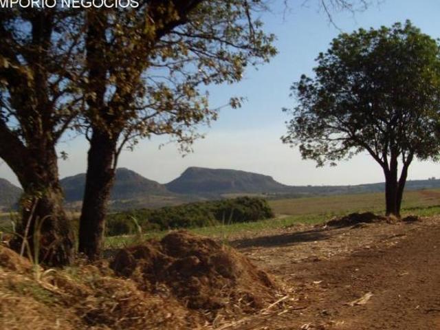 Sítio e chácara venda em Cajuru, Região Geográfica Intermediária de Ribeirão Preto
