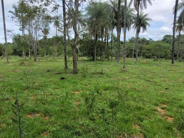 Sítio e chácara venda em Região Geográfica Imediata de Flores de Goiás, Região Integrada de Desenvolvimento do Distrito Federal e Entorno