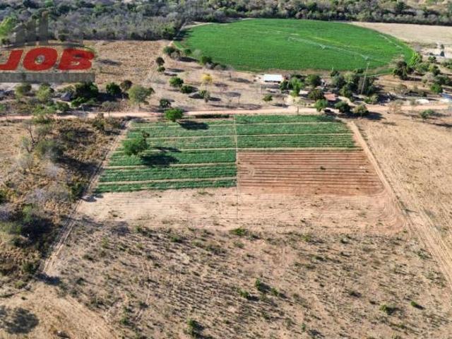 Sítio e chácara venda em Região Geográfica Imediata de Posse-Campos Belos, Alvorada do Norte