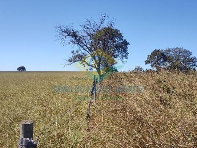 Sítio e chácara venda em Região Geográfica Imediata de Campo Grande, Camapuã