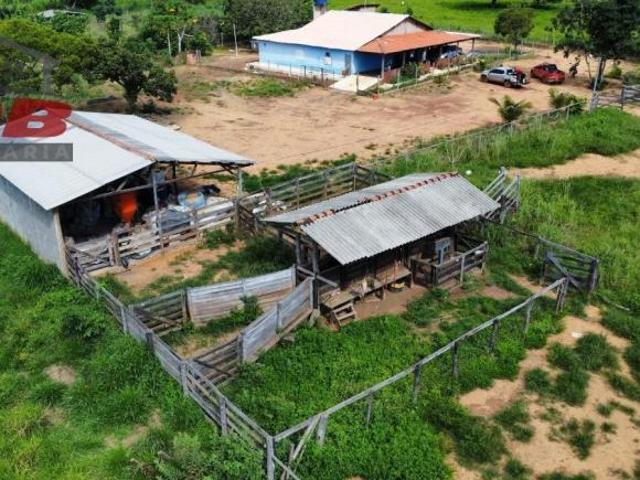 Sítio e chácara venda em Região Geográfica Imediata de Águas Lindas de Goiás, Região Integrada de Desenvolvimento do Distrito Federal e Entorno
