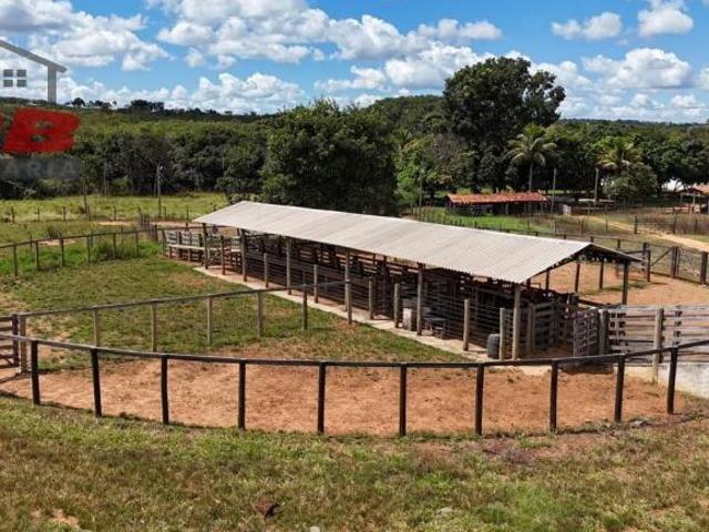 Sítio e chácara venda em Região Geográfica Imediata de Águas Lindas de Goiás, Região Integrada de Desenvolvimento do Distrito Federal e Entorno