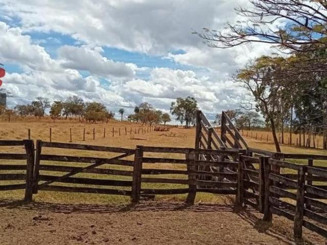 Sítio e chácara venda em Região Geográfica Imediata de Águas Lindas de Goiás, Região Integrada de Desenvolvimento do Distrito Federal e Entorno