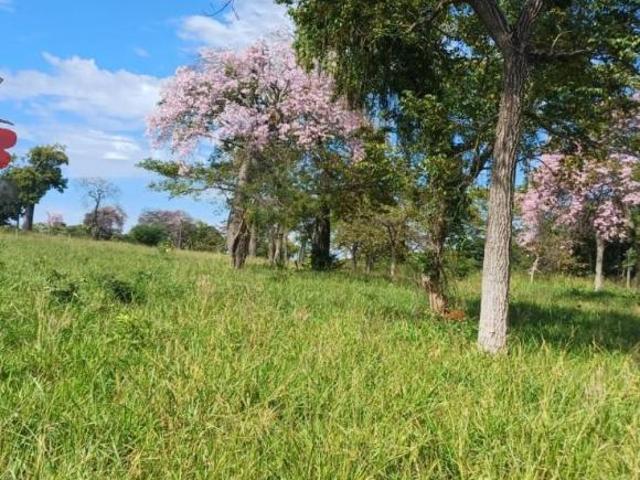 Sítio e chácara venda em Região Geográfica Imediata de Posse-Campos Belos, Iaciara