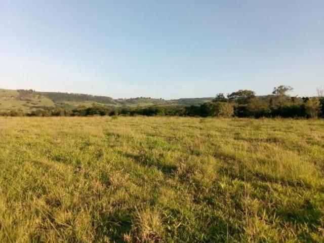 Sítio e chácara venda em Região Geográfica Imediata de Santo Antônio da Platina, Jacarezinho