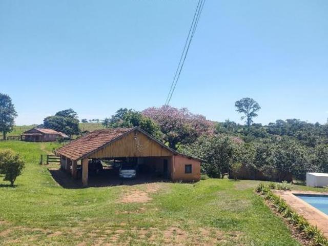 Sítio e chácara venda em Região Geográfica Imediata de Santo Antônio da Platina, Jacarezinho