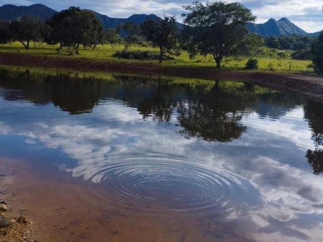 Sítio e chácara venda em Região Geográfica Imediata de Uruaçu - Niquelândia, Niquelândia
