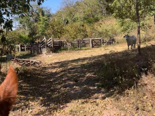 Sítio e chácara venda em São João d'Aliança, Região Geográfica Intermediária de Luziânia-Águas Lindas de Goiás