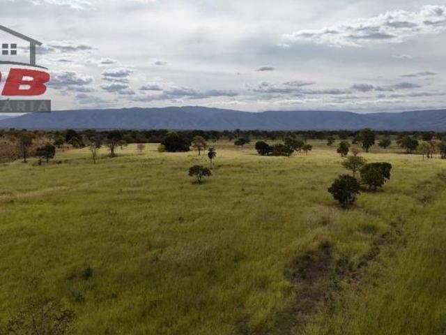 Sítio e chácara venda em Região Geográfica Imediata de Flores de Goiás, São João d'Aliança