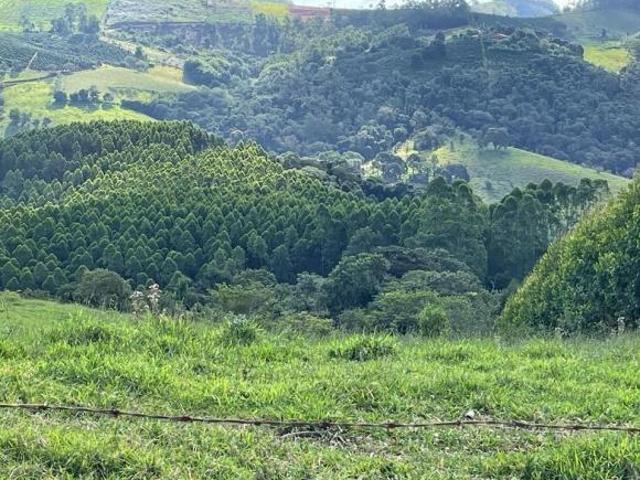 Sítio e chácara venda em Região Imediata de Bragança Paulista, Região Sudeste