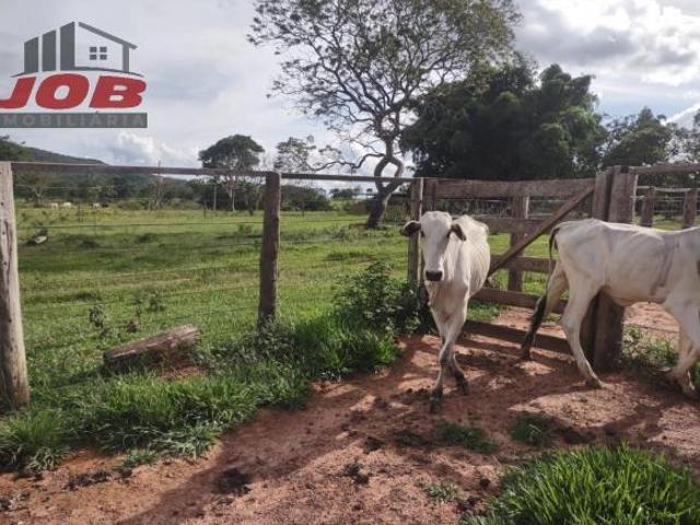 Sítio e chácara venda em Região Geográfica Imediata do Distrito Federal, Região Integrada de Desenvolvimento do Distrito Federal e Entorno