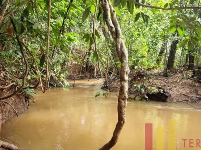 Sítio e chácara venda em Região Geográfica Imediata de Uruaçu - Niquelândia, Uruaçu