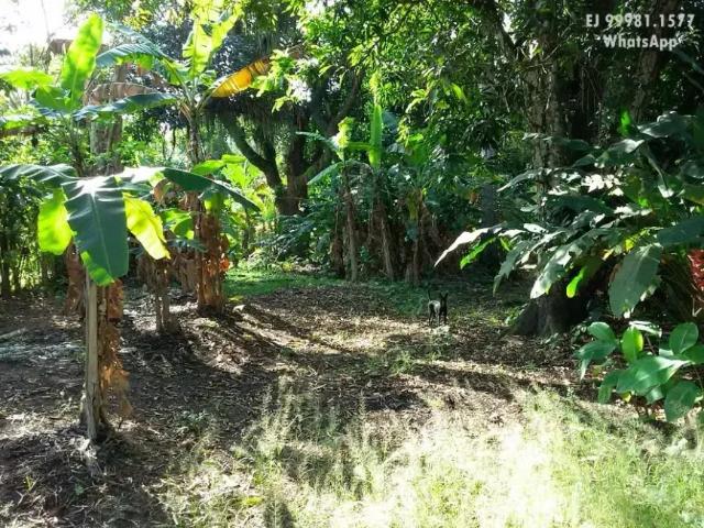 Fazenda venda em Região Geográfica Imediata do Recife, Região Metropolitana do Recife