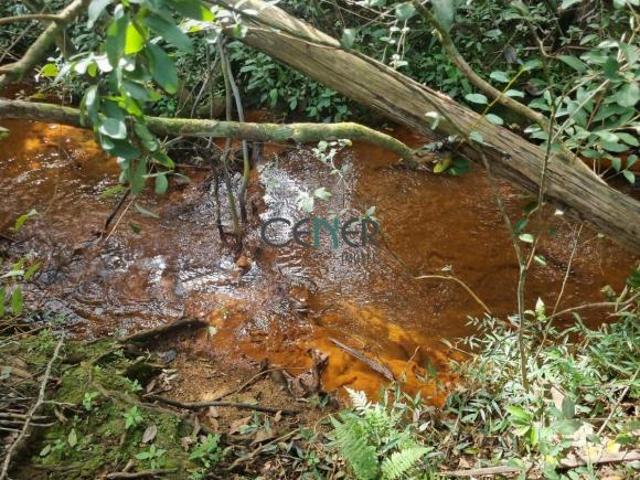 Sítio e chácara venda em Região Geográfica Imediata de Juiz de Fora, Lima Duarte