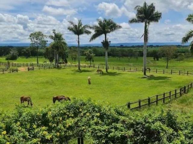 Sítio e chácara venda em Região Geográfica Imediata de Pirapora, Pirapora