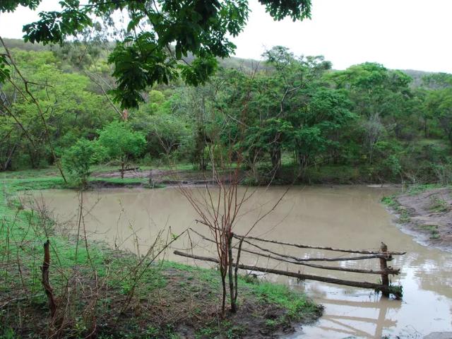 Fazenda venda em Região Geográfica Imediata de Governador Valadares, Governador Valadares