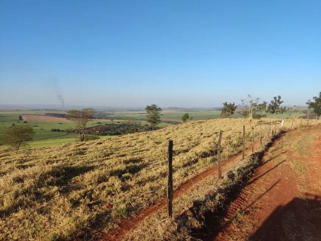 Fazenda venda em Região Imediata de Ribeirão Preto, Região Metropolitana de Ribeirão Preto
