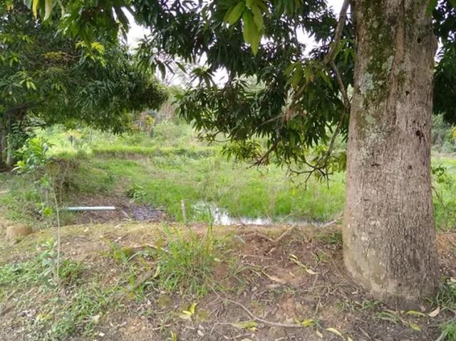 Fazenda venda em Região Geográfica Imediata de Luziânia, Região Integrada de Desenvolvimento do Distrito Federal e Entorno