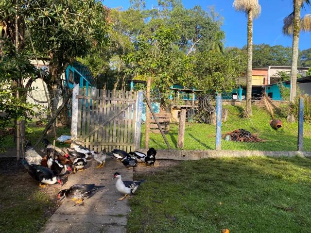Fazenda venda em Região Imediata de São Paulo, Região Metropolitana de São Paulo