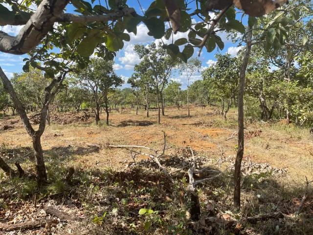 Fazenda venda em Região Geográfica Imediata de Goiânia, Abadia de Goiás