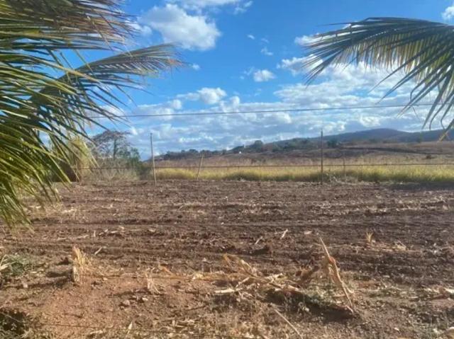 Fazenda venda em Região Geográfica Imediata de Montes Claros, Francisco Sá