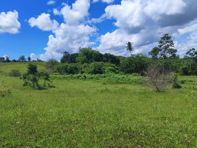 Fazenda venda em Região Geográfica Imediata de Natal, São José de Mipibu