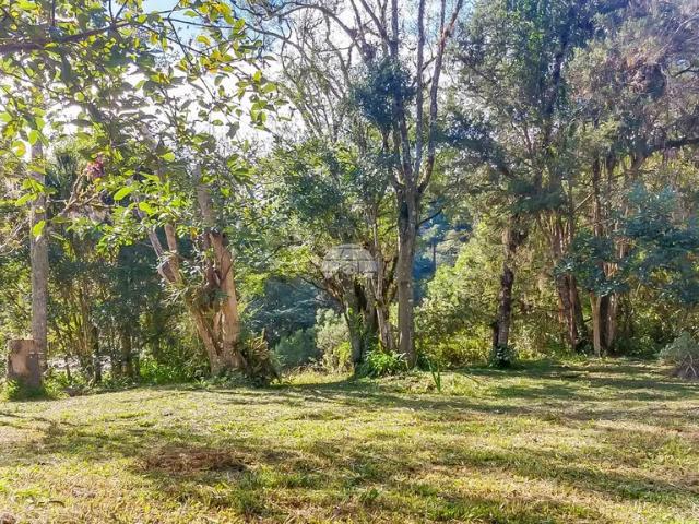 Fazenda venda em Região Geográfica Imediata de Curitiba, Região Metropolitana de Curitiba