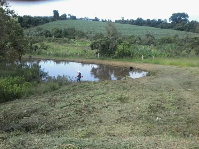 Fazenda venda em Região Imediata de Ribeirão Preto, Região Metropolitana de Ribeirão Preto