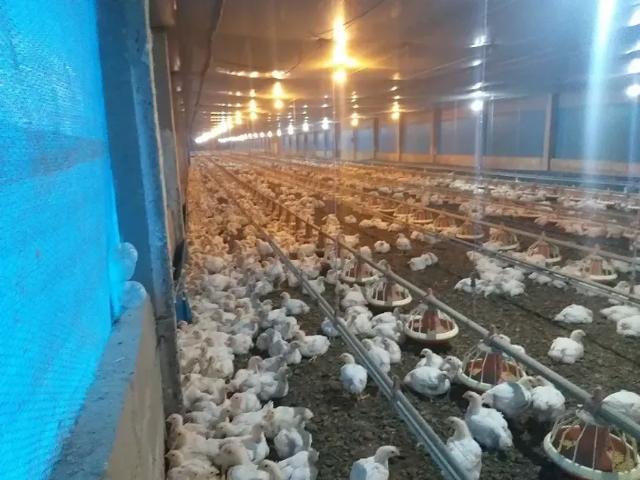Fazenda venda em Região Imediata de Bragança Paulista, Bragança Paulista