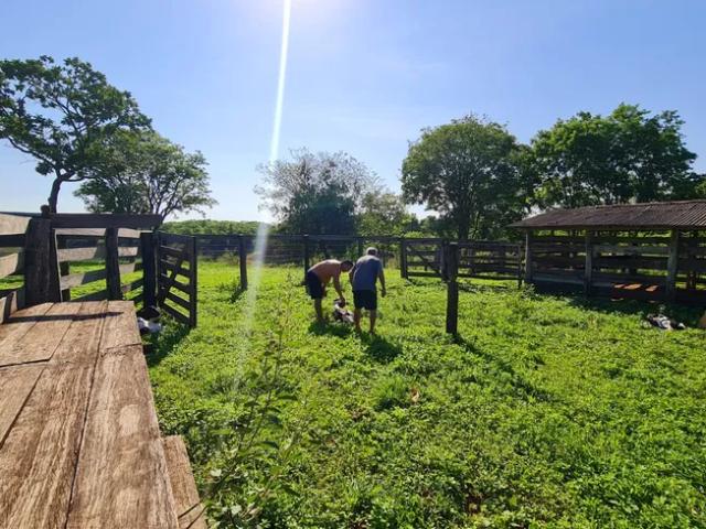 Fazenda venda em Região Geográfica Imediata do Distrito Federal, Região Integrada de Desenvolvimento do Distrito Federal e Entorno