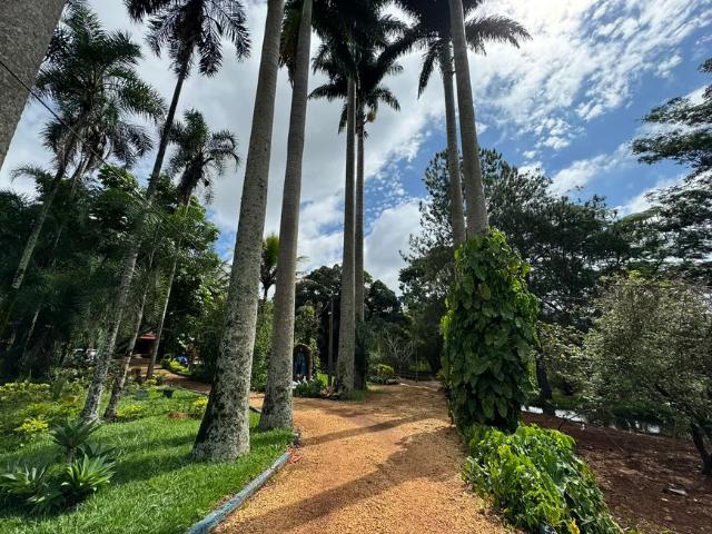 Fazenda venda em Anápolis
