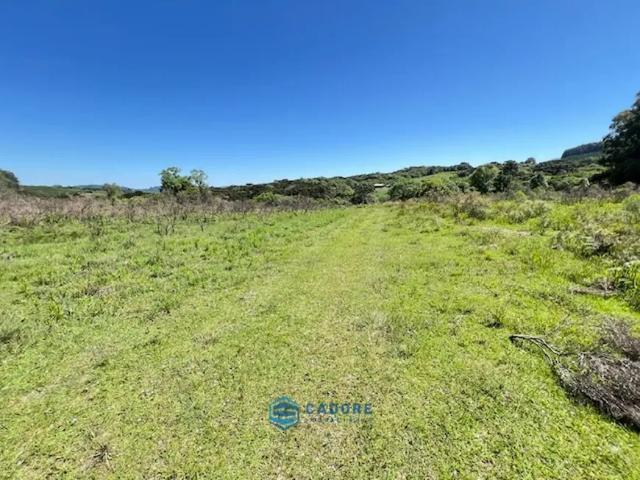 Fazenda venda em Caxias do Sul