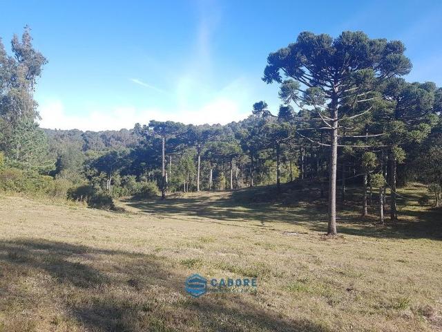 Fazenda venda em Caxias do Sul