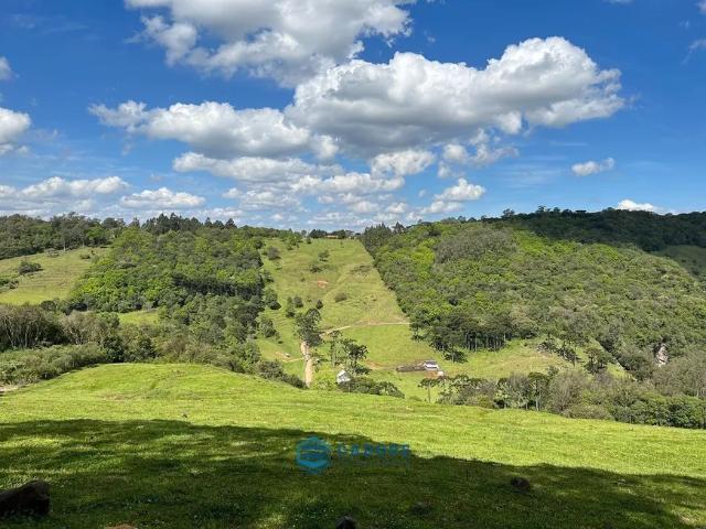 Fazenda venda em Caxias do Sul