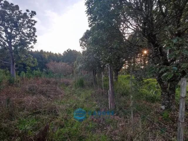 Fazenda venda em Caxias do Sul