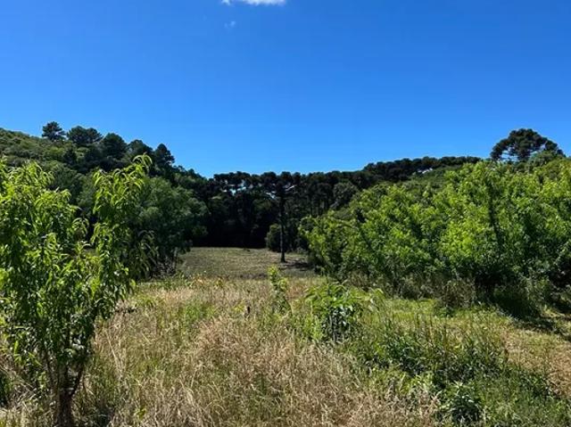 Fazenda venda em Caxias do Sul