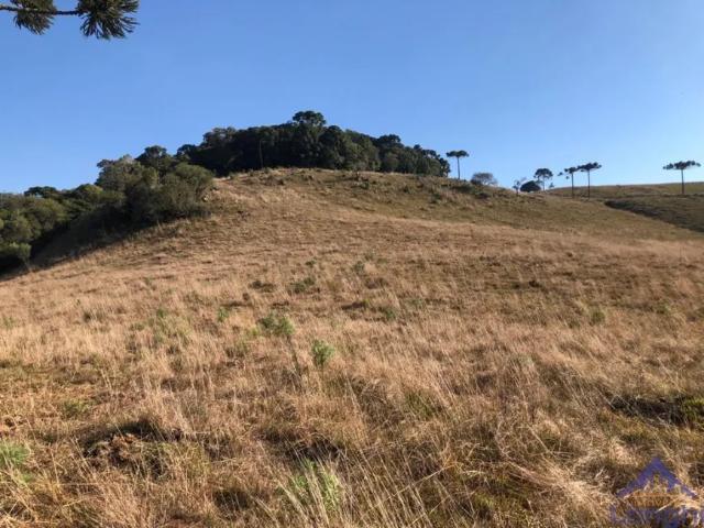 Fazenda venda em Caxias do Sul