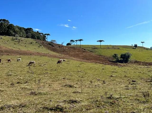 Fazenda venda em Caxias do Sul