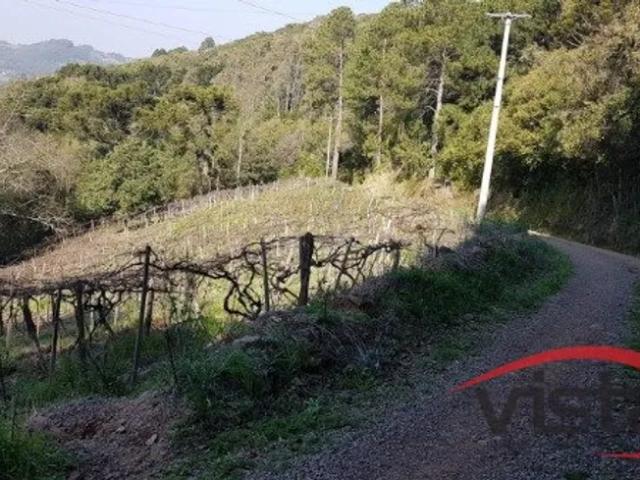 Fazenda venda em Caxias do Sul