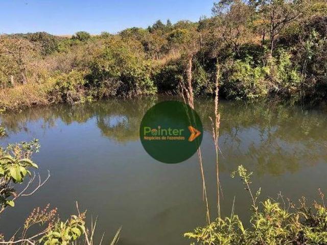 Fazenda venda em Anápolis