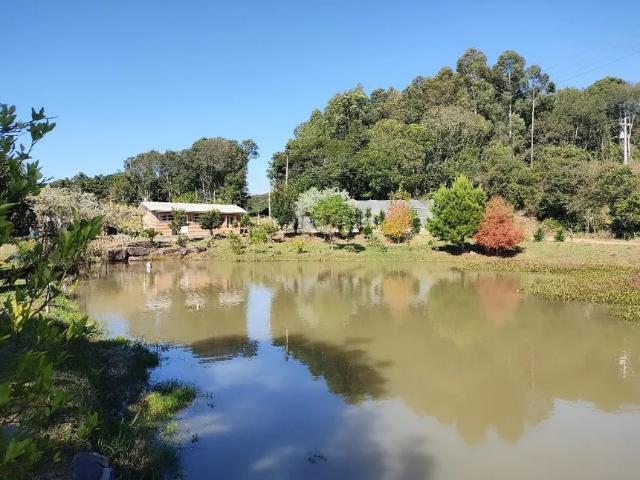 Fazenda venda em Caxias do Sul