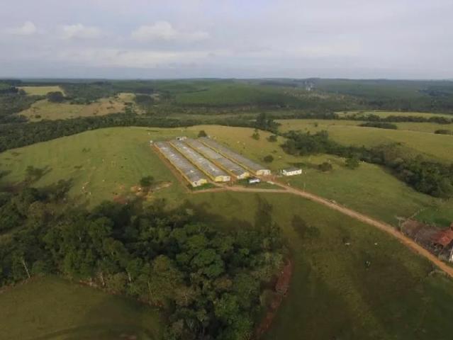 Fazenda venda em Alambari