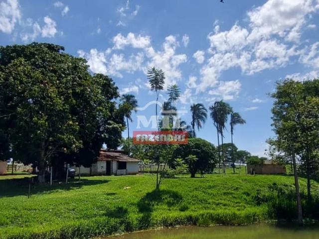 Fazenda venda em Anápolis, Setor Central