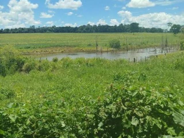 Sítio e chácara venda em Setor Oeste, Goiânia