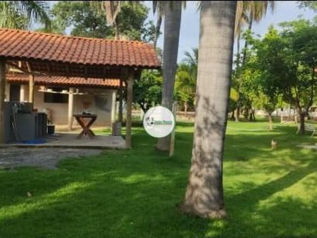Sítio e chácara venda em Região Geográfica Imediata de Unaí, Riachinho